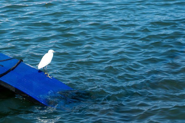 Optimiser son espace de travail pour une meilleure santé